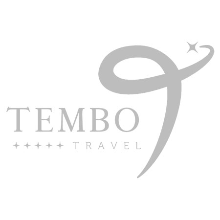 Tembo Travel